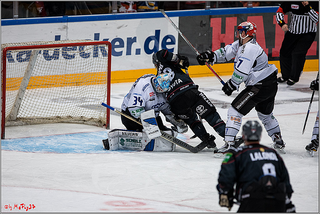 Koelner Haie - Schwenninger Wild Wings, 11.12.2016
